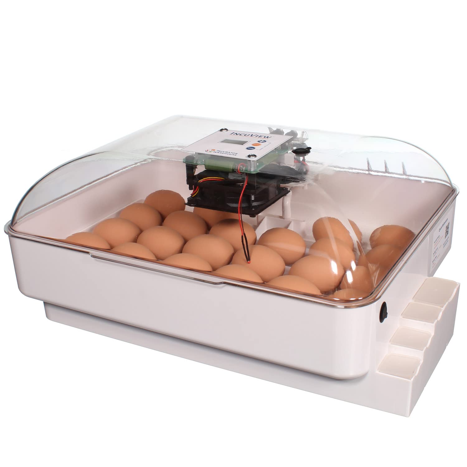 The Importance of Temperature Control in Egg Incubation: How to Provide the Optimal Conditions插图