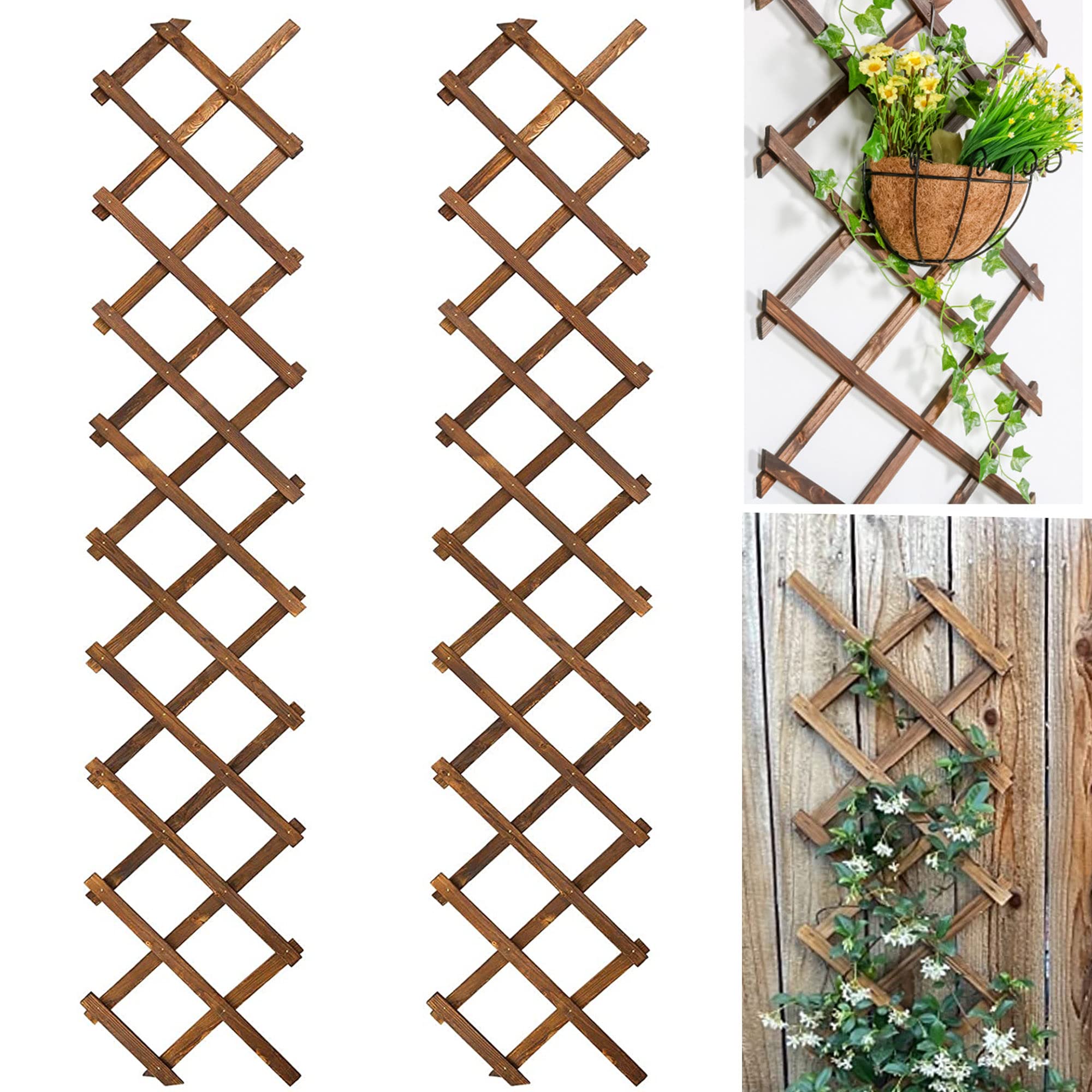 A Brief History of Lattice Panels: From Ancient Civilizations to Modern Architecture and Design插图