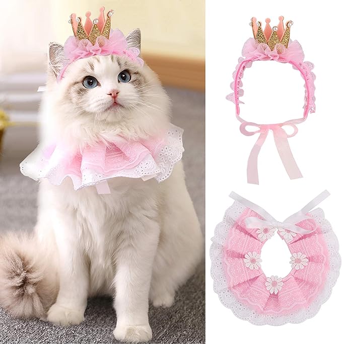 Fur-tastic Fashion: On-Trend Cat Costumes for the Modern Kitty插图
