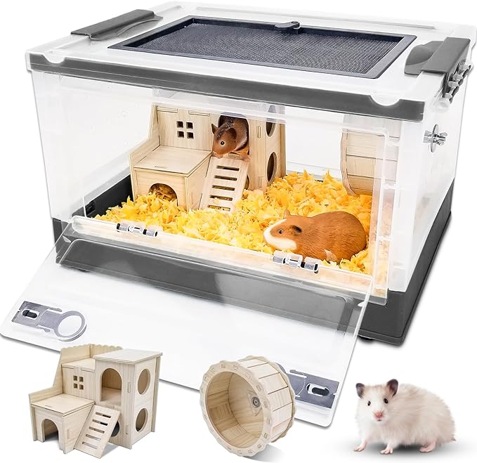Hamster Cage Accessories: Enhancing the Environments for Your Furry Friend插图