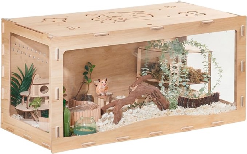Hamster Cage Enrichment: Creating a Stimulating Living Space插图