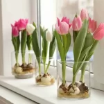 how to take care of tulips in a vase