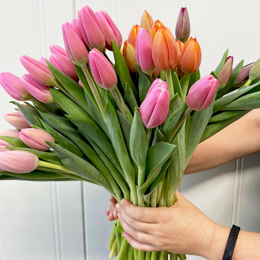Bringing Spring Indoors: The Art of Caring for Cut Tulips in a Vase插图1