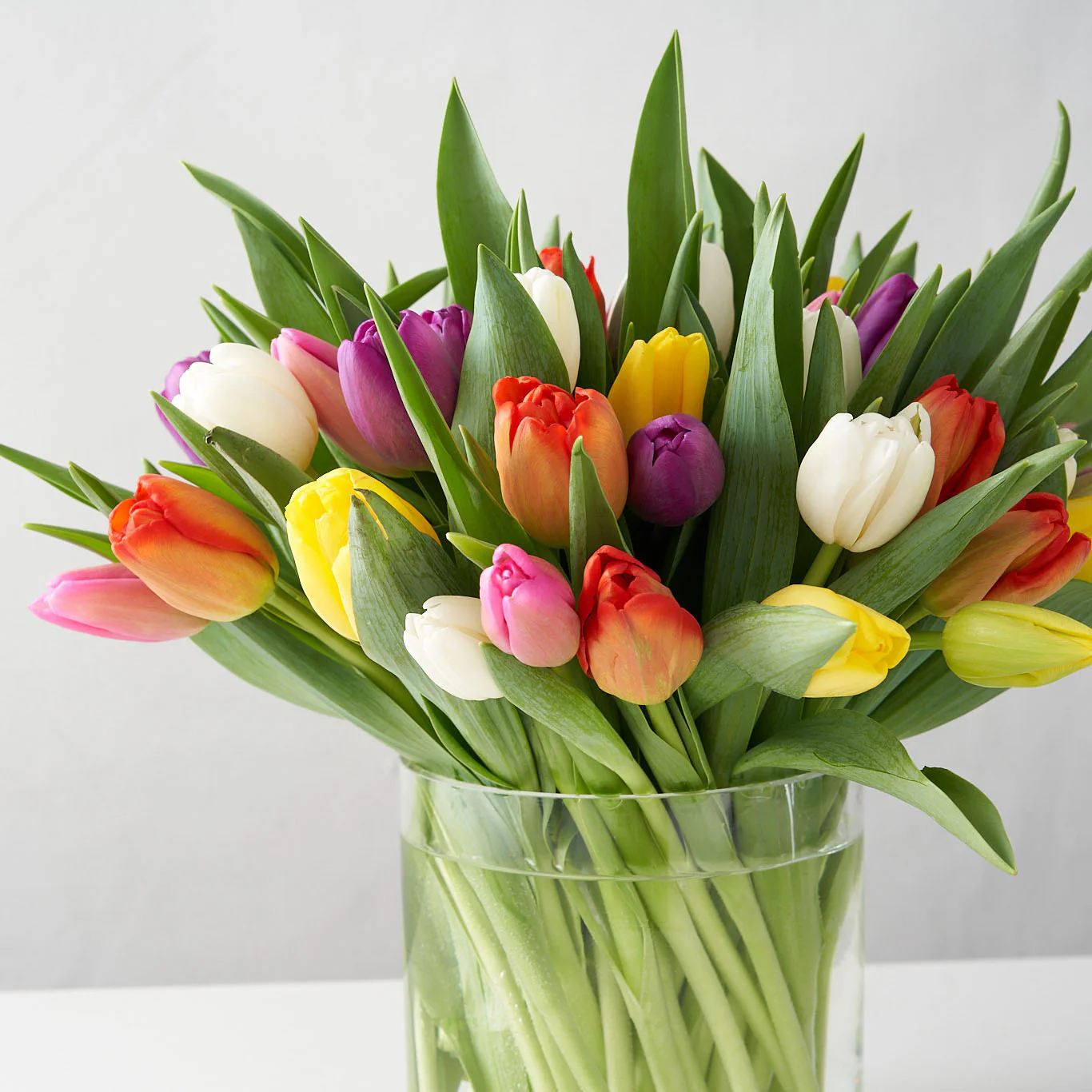 how to take care of tulips in a vase