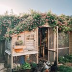 chic chicken coop ideas